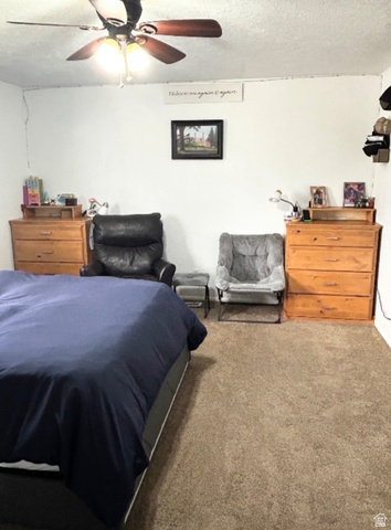 570 250 East Parowan, UT 84761 - Photo 7 of 27 Neutral-toned carpet flooring complemented by white walls