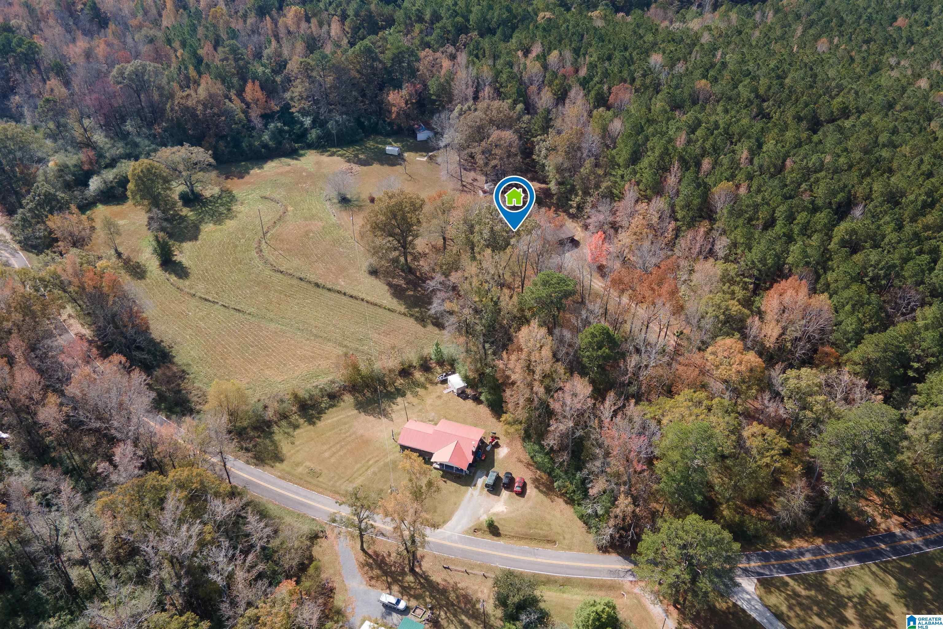 1864 Kelly Loop Road Mount Olive, AL 35117 - Photo 59 of 68