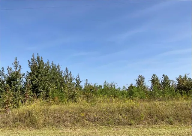 $55,000 | 0 Old Balls Ferry Road, Toomsboro, GA 31090