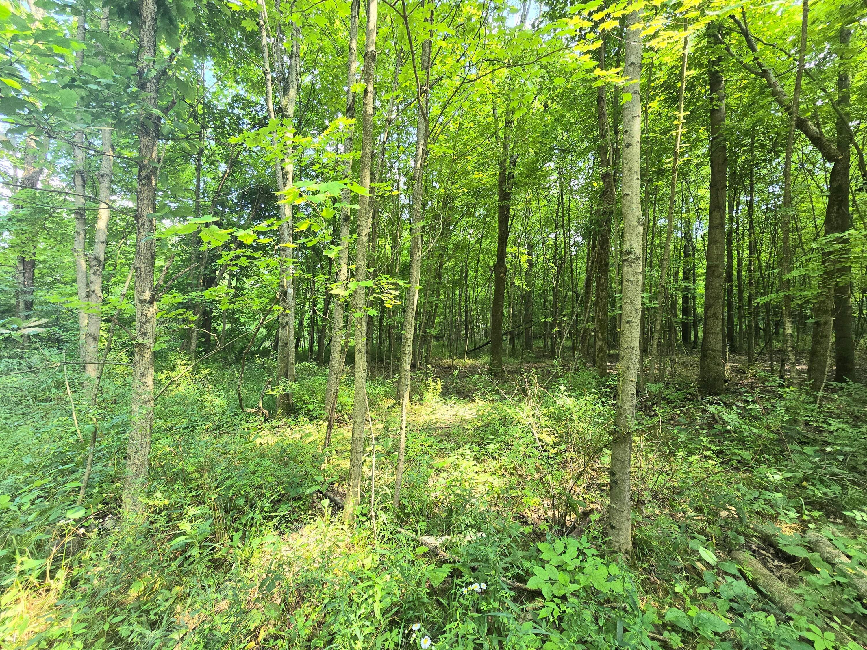 9026 Gregg Road Fredericktown, OH 43019 - Photo 12 of 17 1000062292
