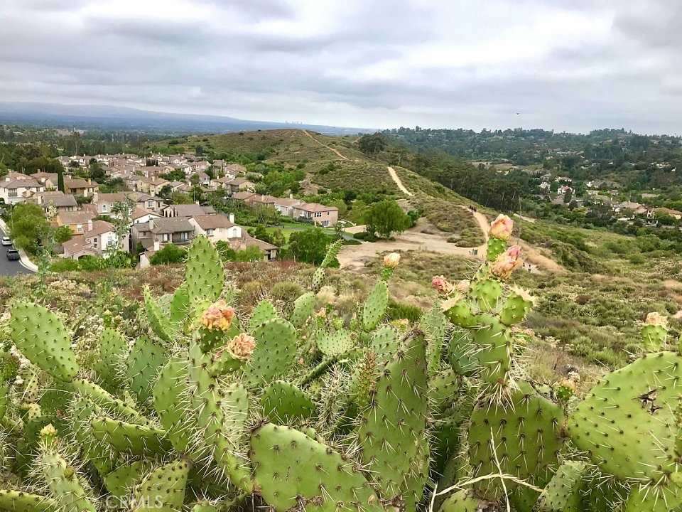 2370 Tryall Tustin, CA 92782 - Photo 34 of 36