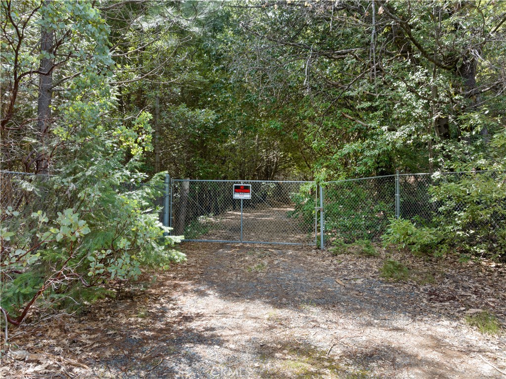63 Binet Road Clipper Mills, CA 95930 - Photo 1 of 1 Gallery Image 1