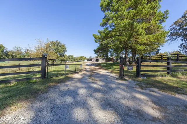 a view of a park with large trees