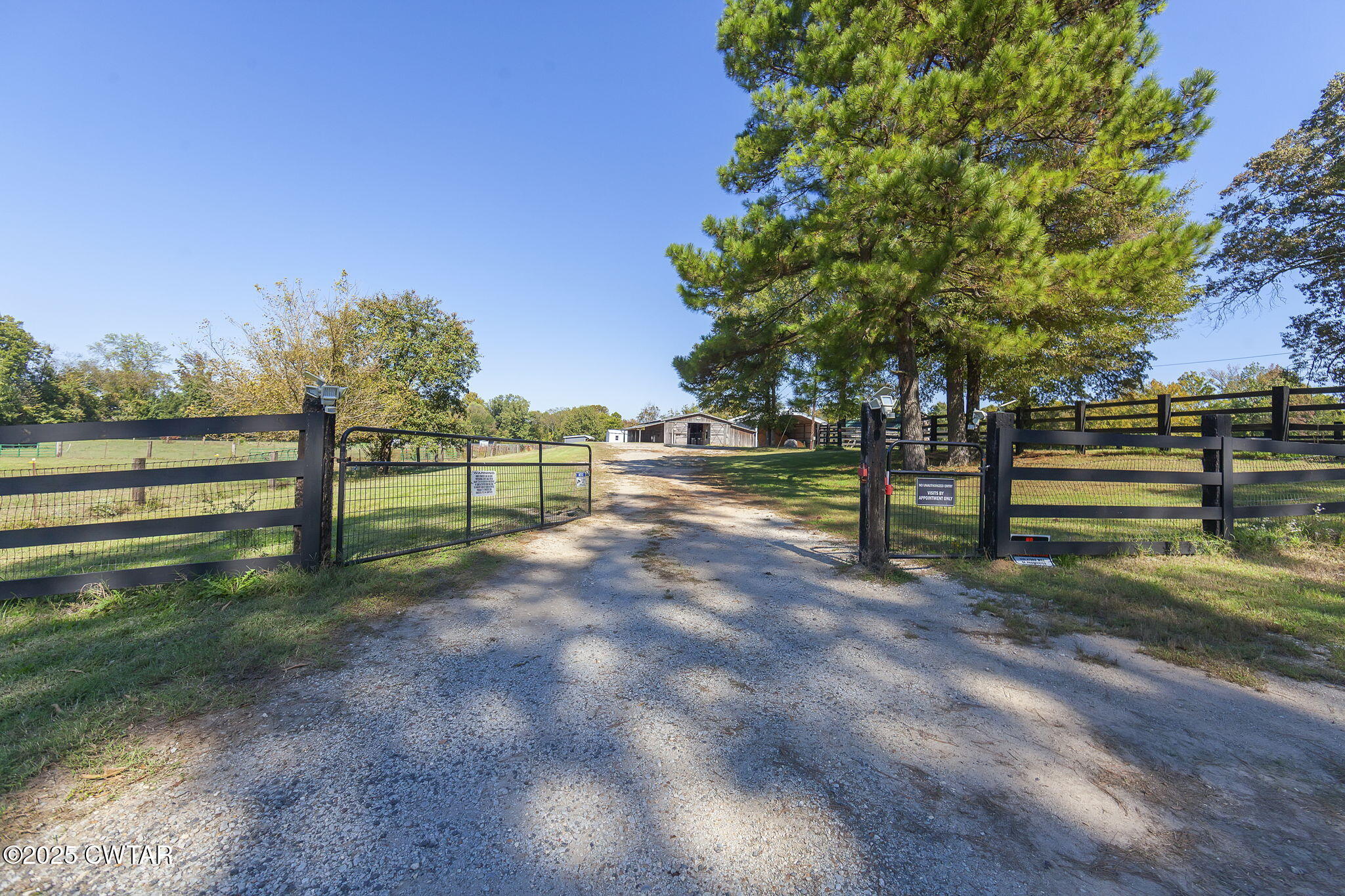 130 Cooper Anderson Road Jackson, TN 38305 - Photo 8 of 46 a view of a park with large trees
