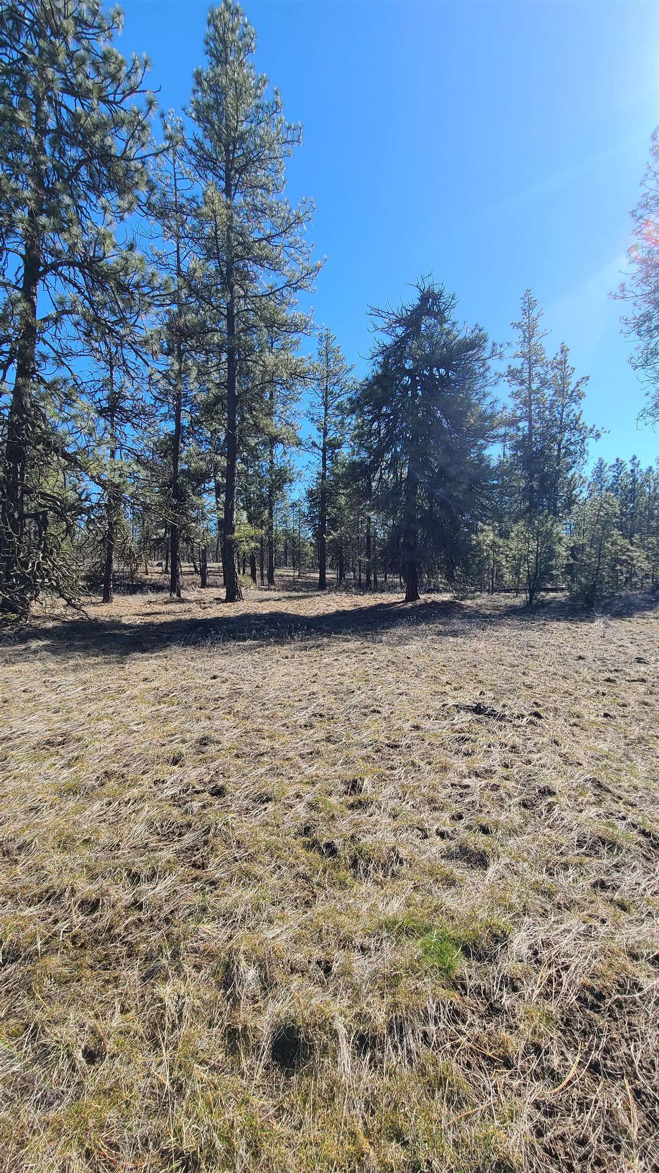 129-xx South Goss Road Cheney, WA 99004 - Photo 12 of 33