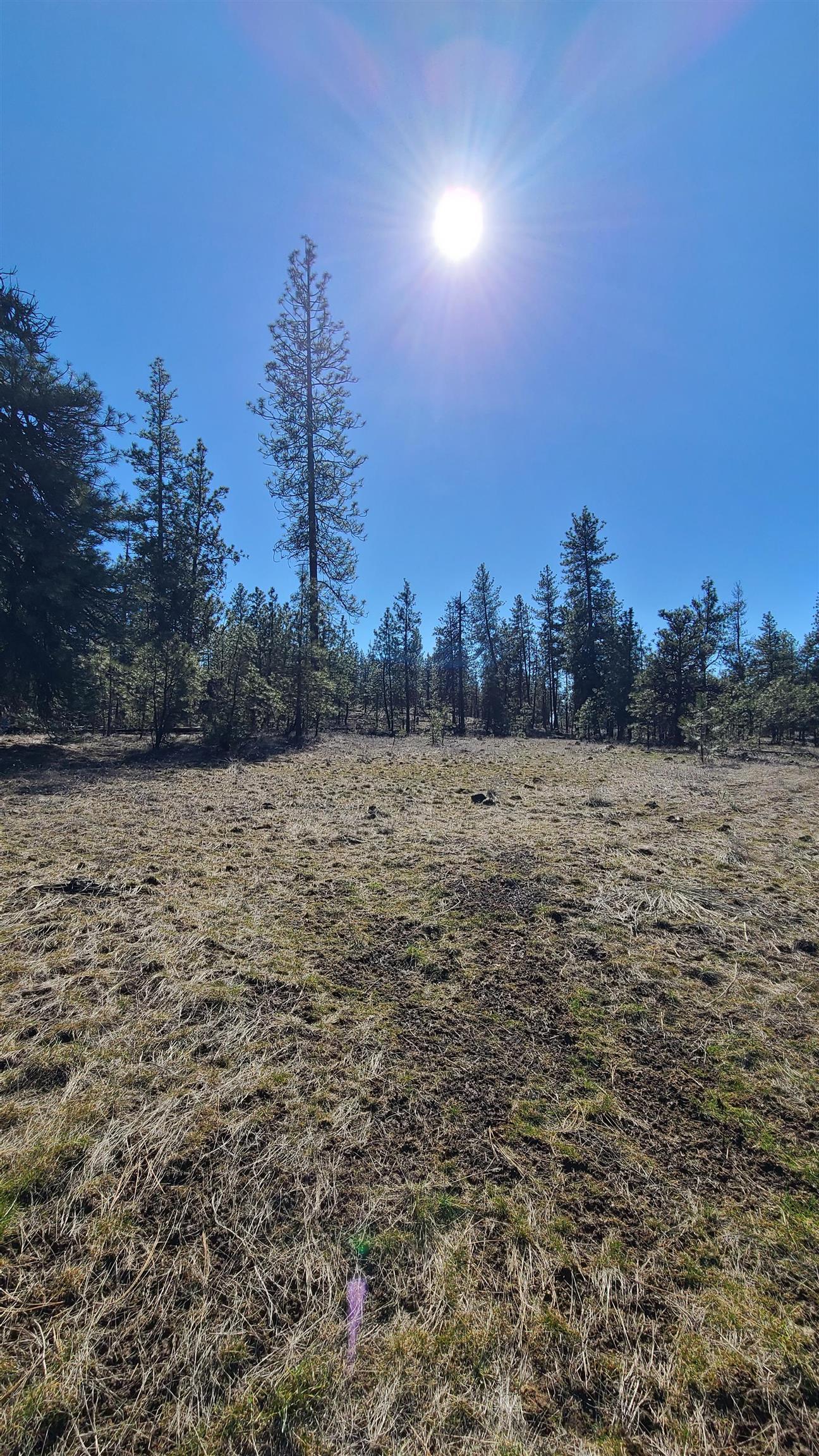 129-xx South Goss Road Cheney, WA 99004 - Photo 13 of 33