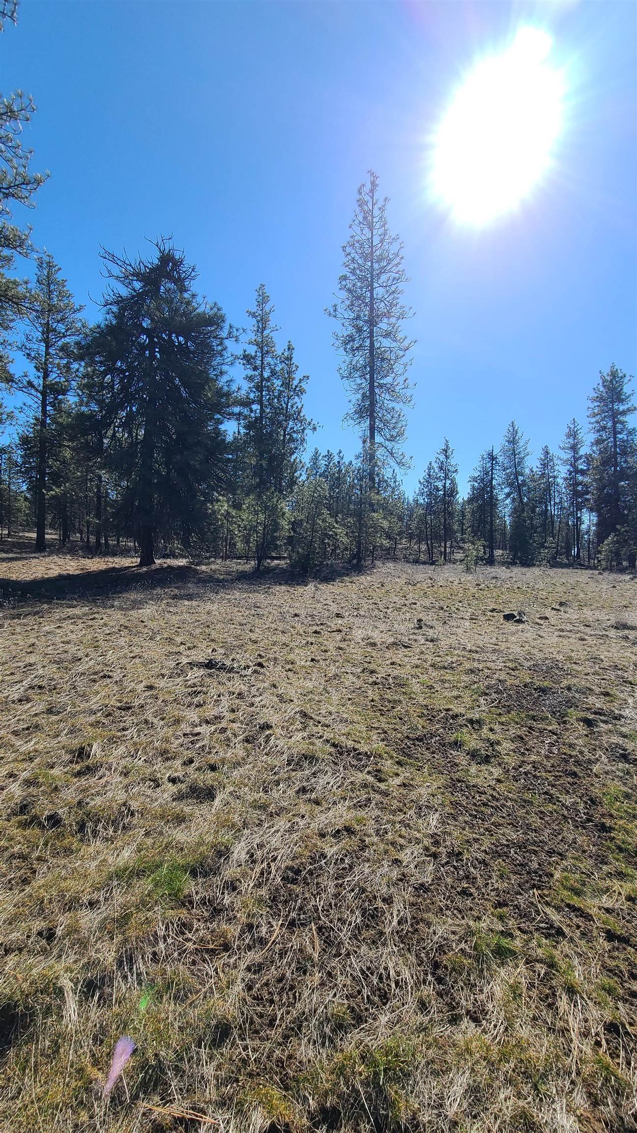 129-xx South Goss Road Cheney, WA 99004 - Photo 14 of 33