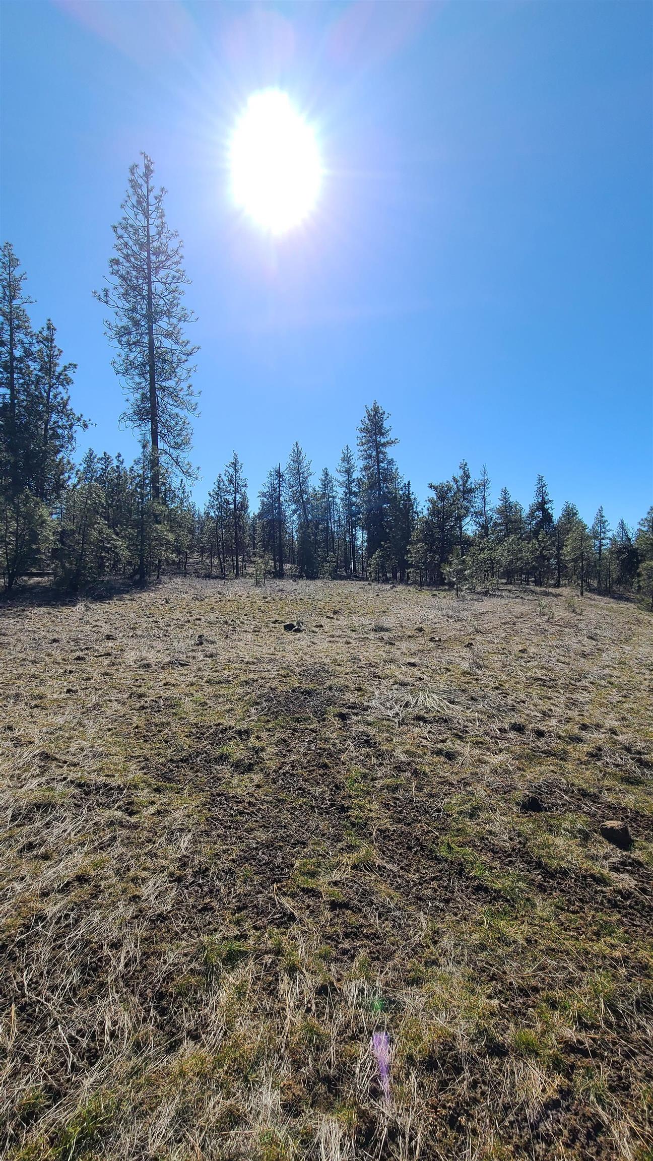 129-xx South Goss Road Cheney, WA 99004 - Photo 15 of 33