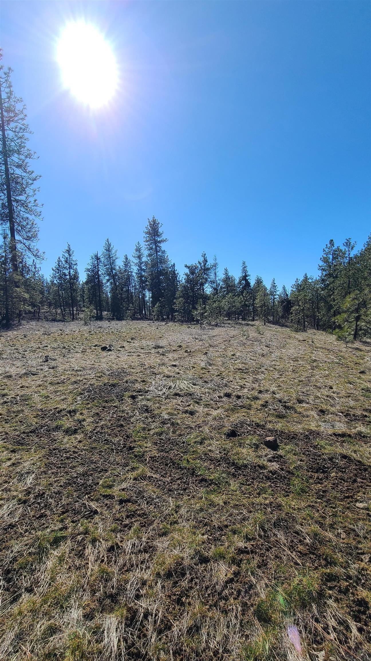 129-xx South Goss Road Cheney, WA 99004 - Photo 16 of 33