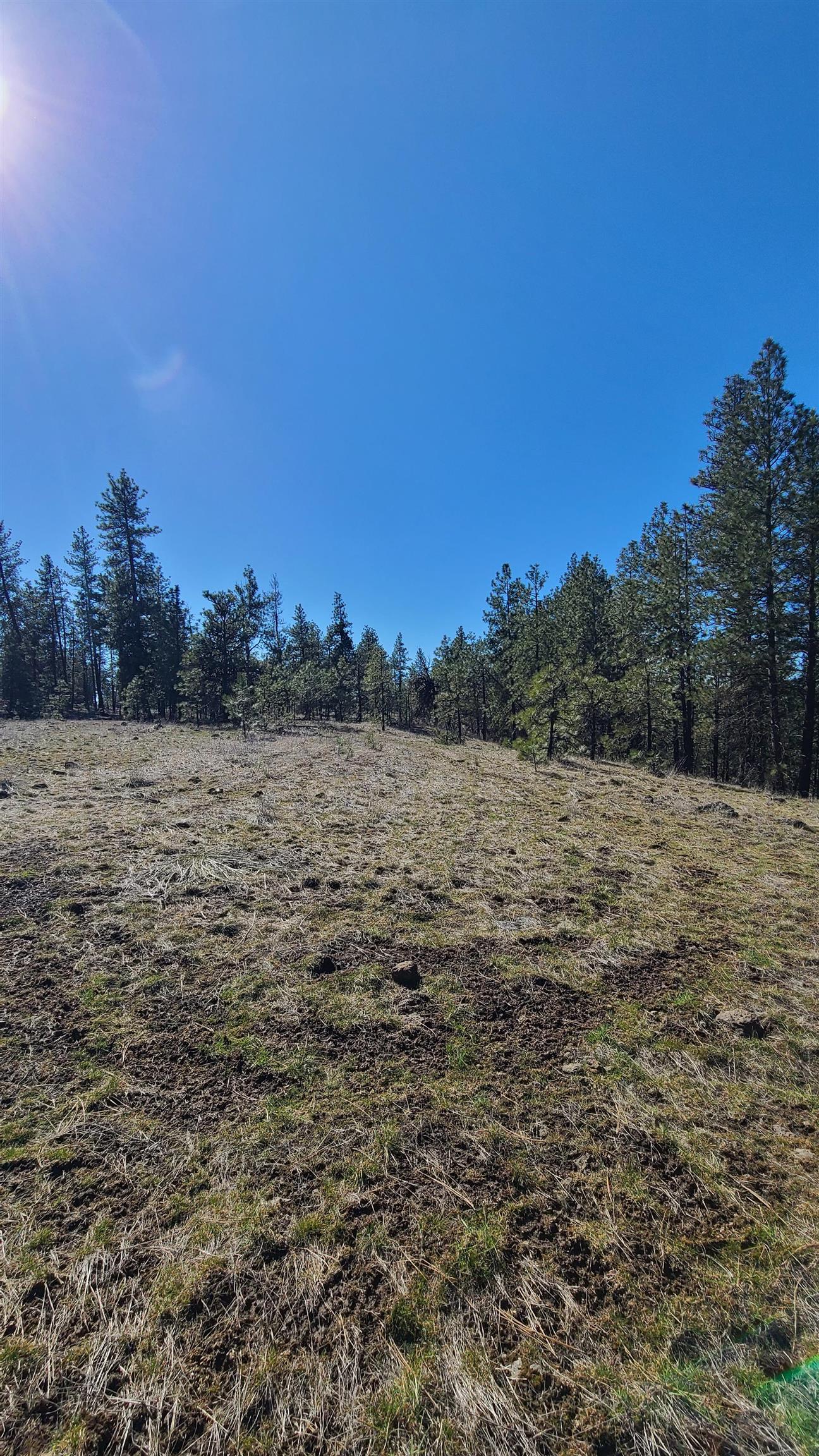 129-xx South Goss Road Cheney, WA 99004 - Photo 17 of 33