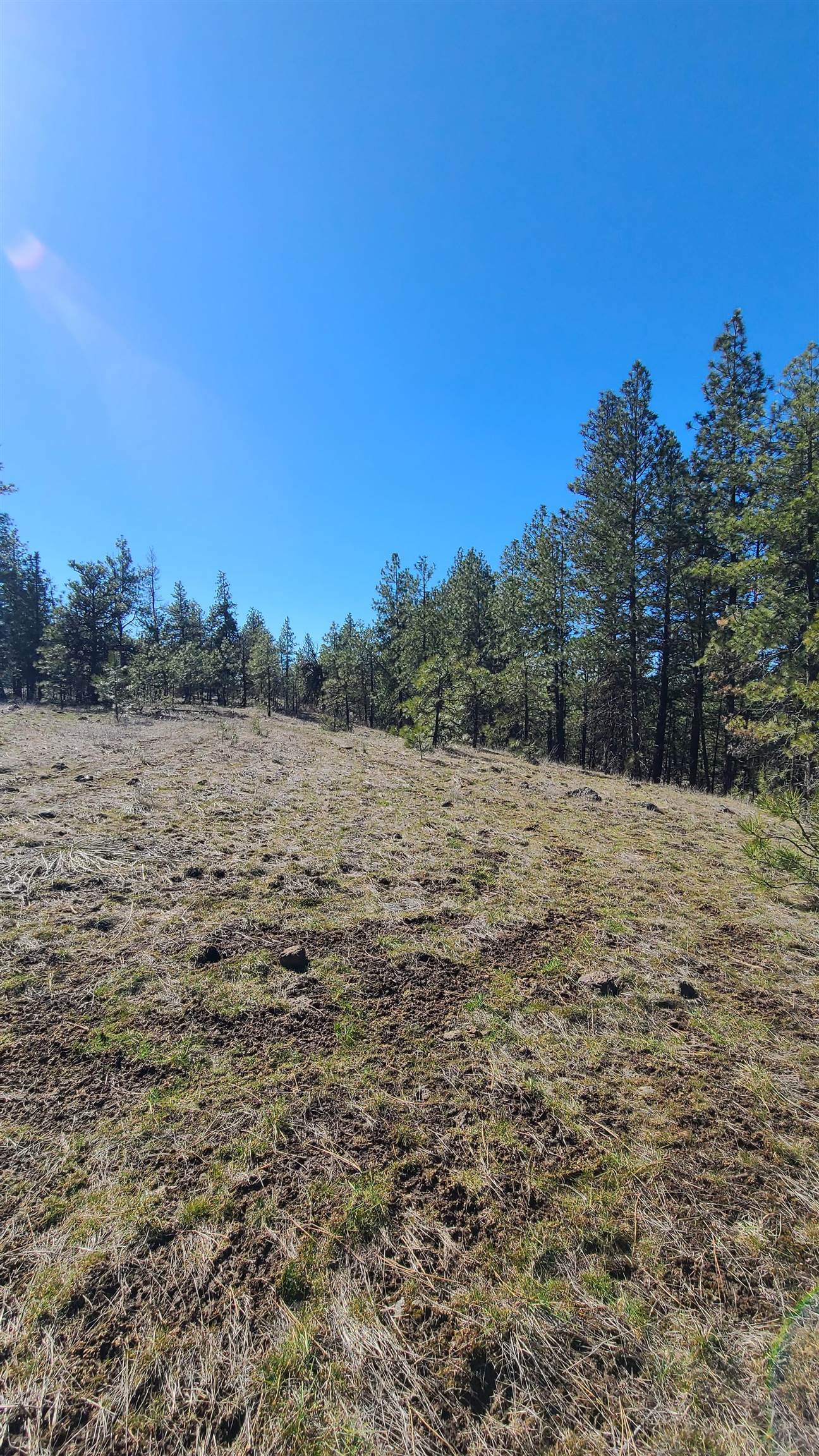 129-xx South Goss Road Cheney, WA 99004 - Photo 18 of 33