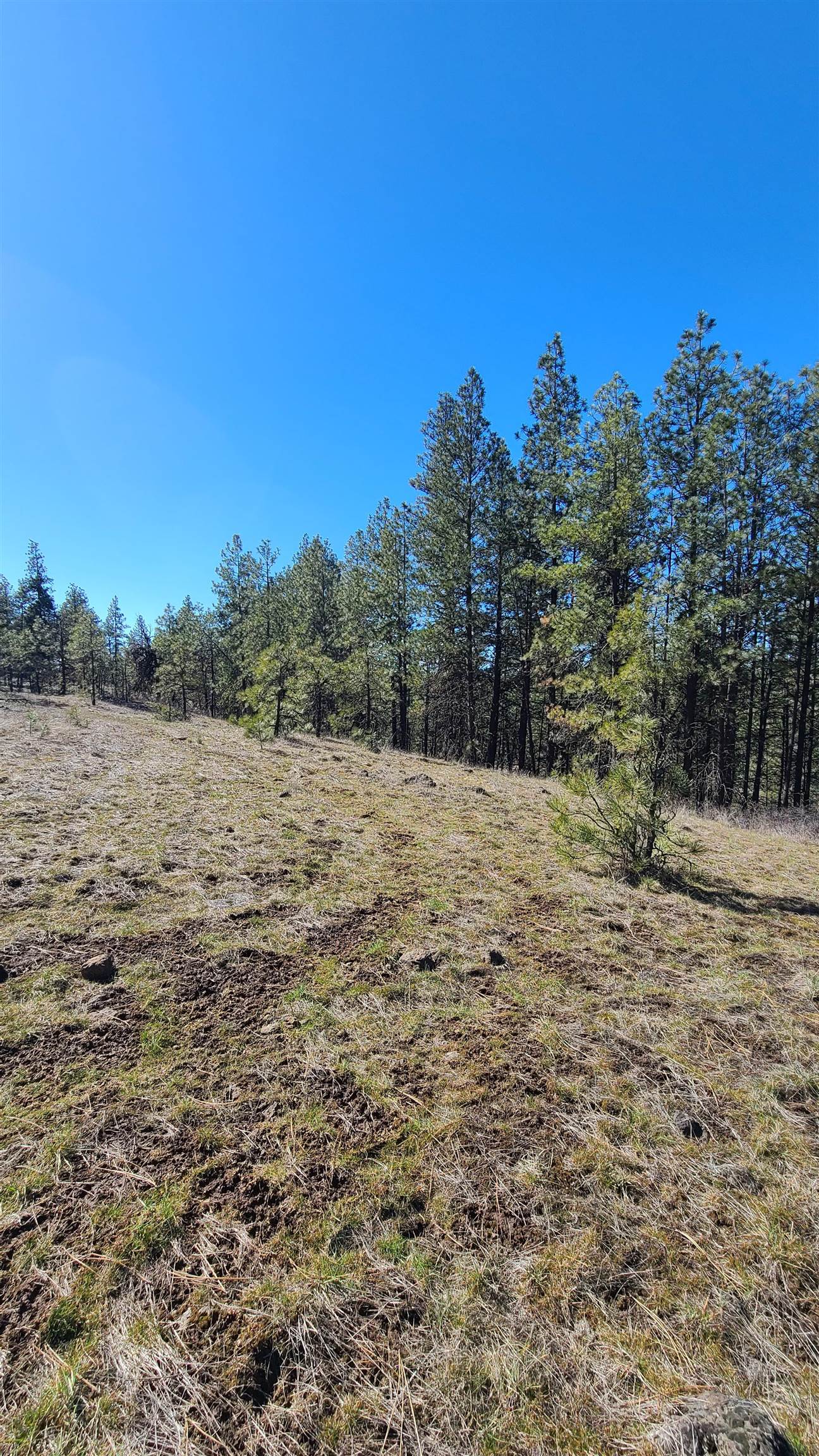 129-xx South Goss Road Cheney, WA 99004 - Photo 19 of 33