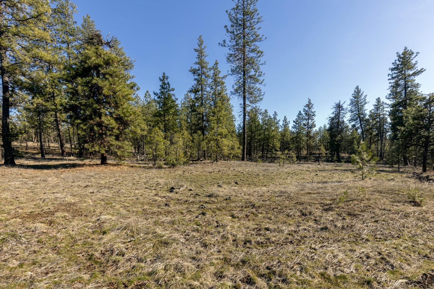 129-xx South Goss Road Cheney, WA 99004 - Photo 2 of 33