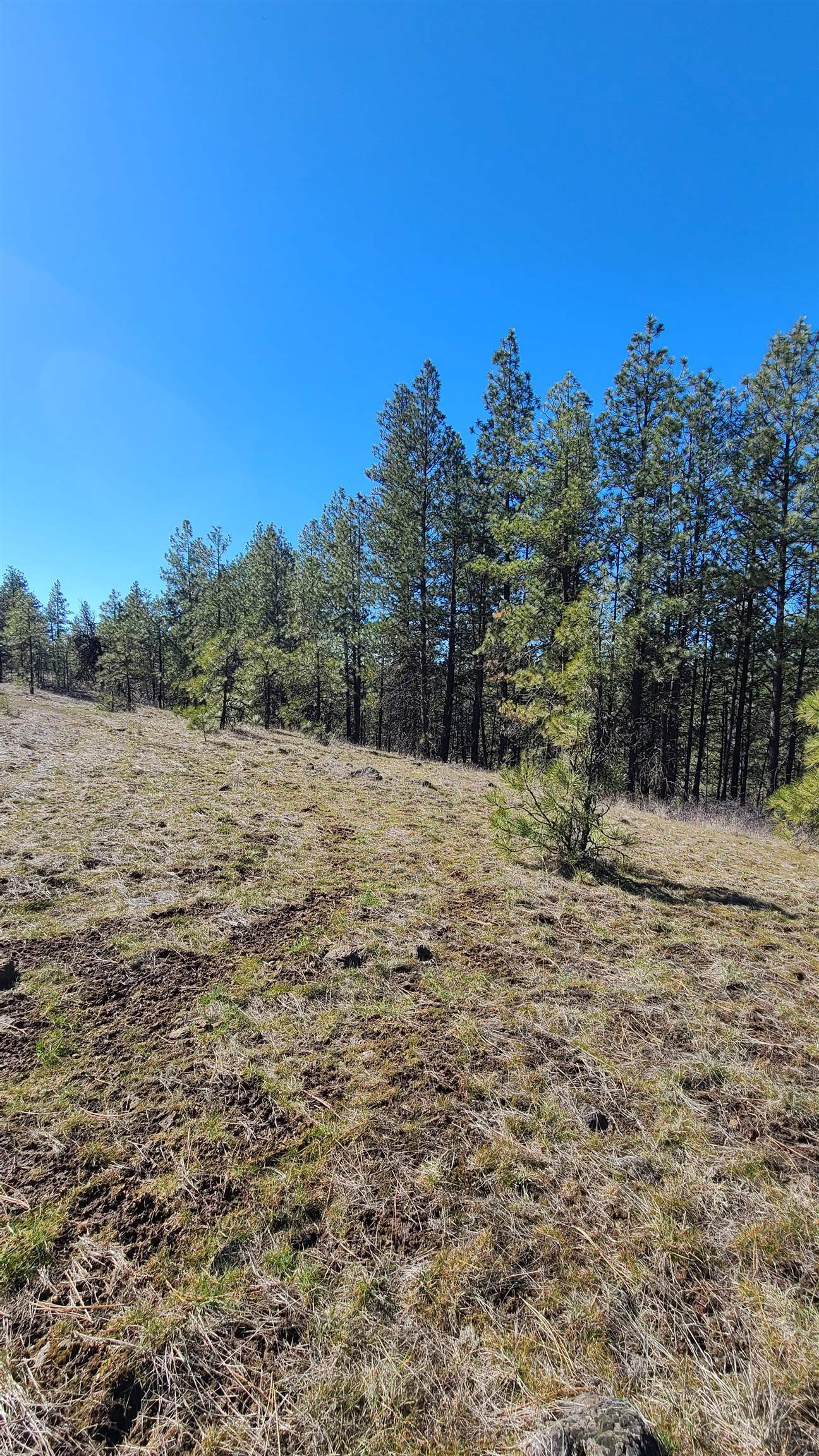 129-xx South Goss Road Cheney, WA 99004 - Photo 21 of 33