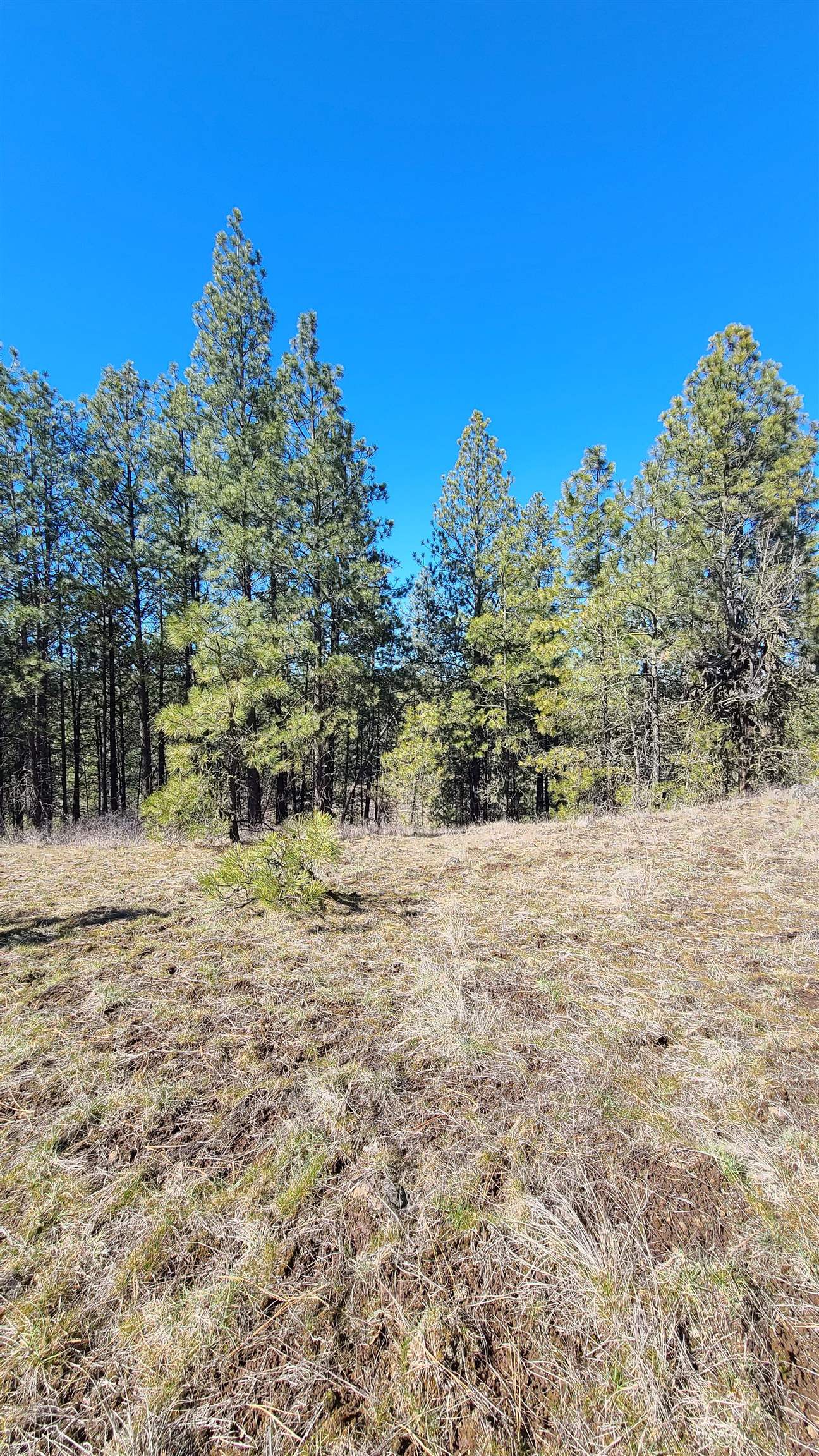 129-xx South Goss Road Cheney, WA 99004 - Photo 24 of 33