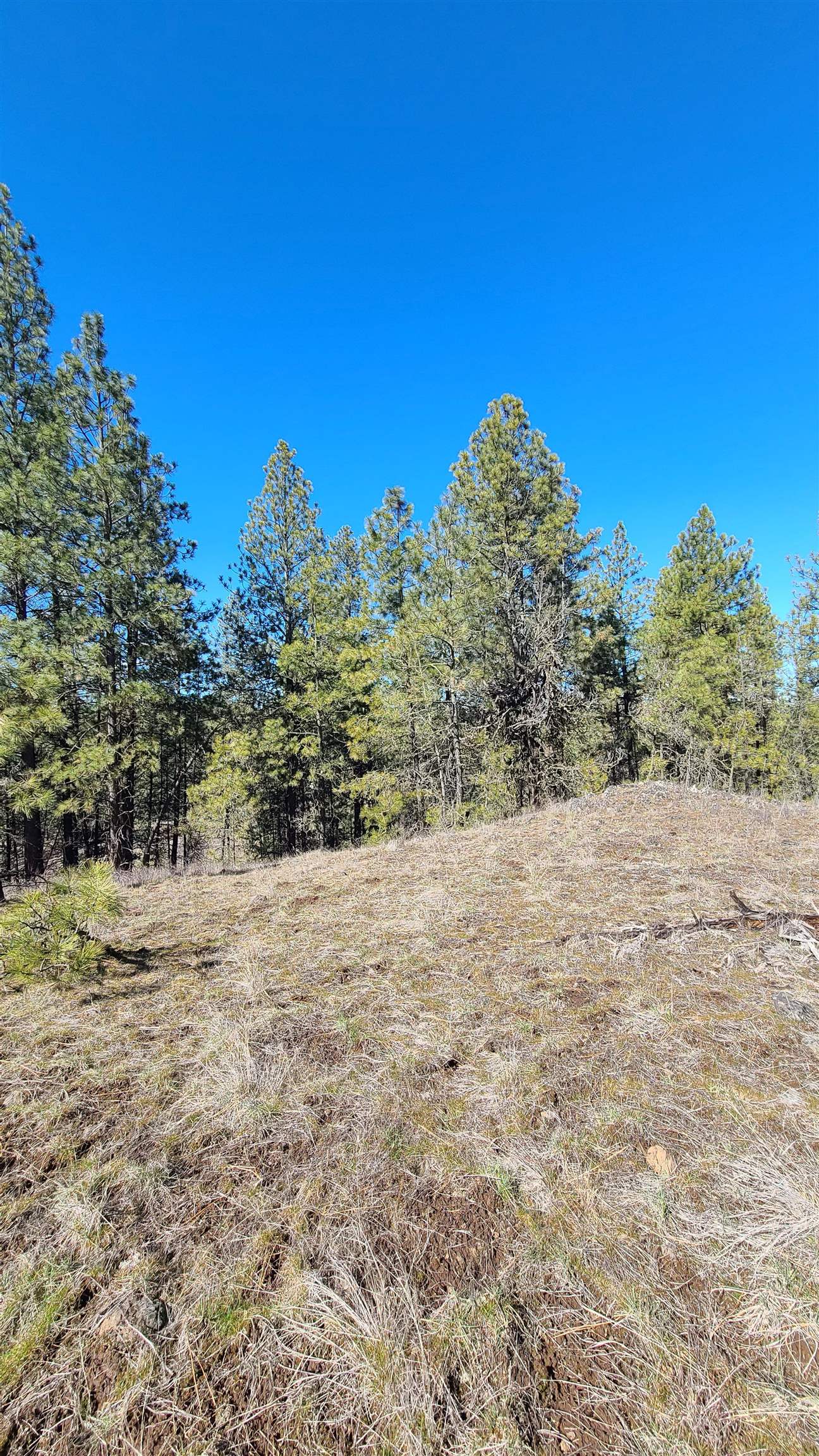 129-xx South Goss Road Cheney, WA 99004 - Photo 25 of 33