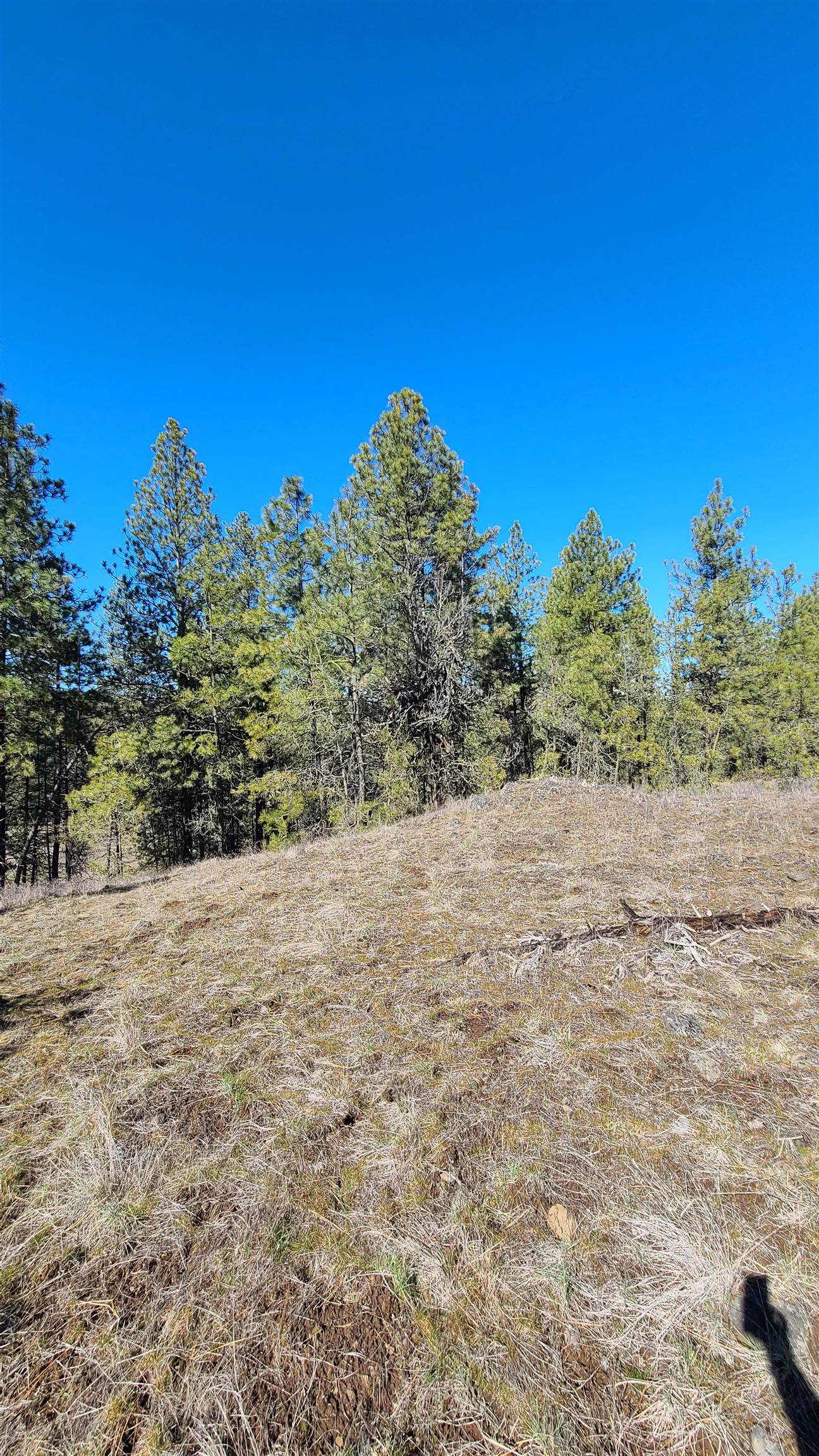 129-xx South Goss Road Cheney, WA 99004 - Photo 26 of 33