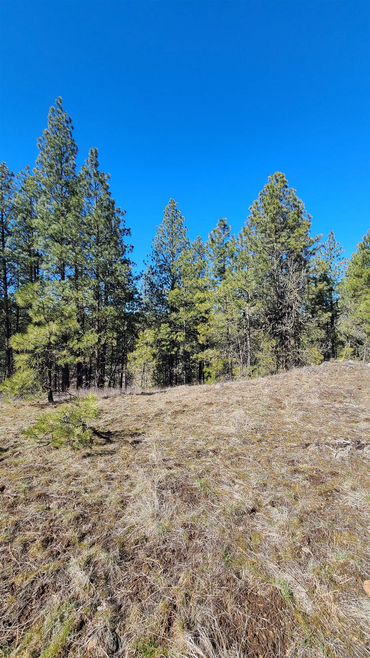 129-xx South Goss Road Cheney, WA 99004 - Photo 27 of 33