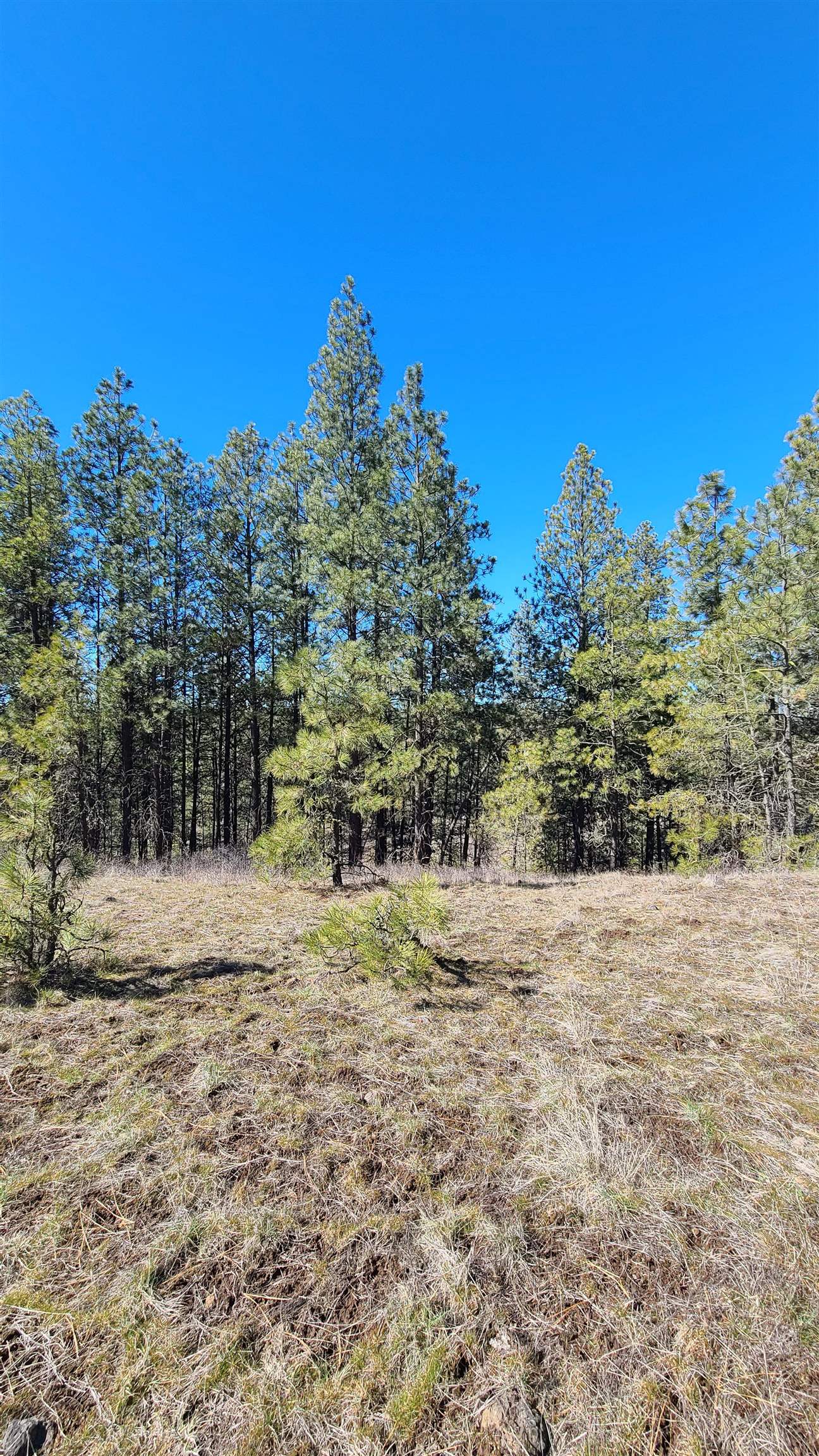 129-xx South Goss Road Cheney, WA 99004 - Photo 28 of 33