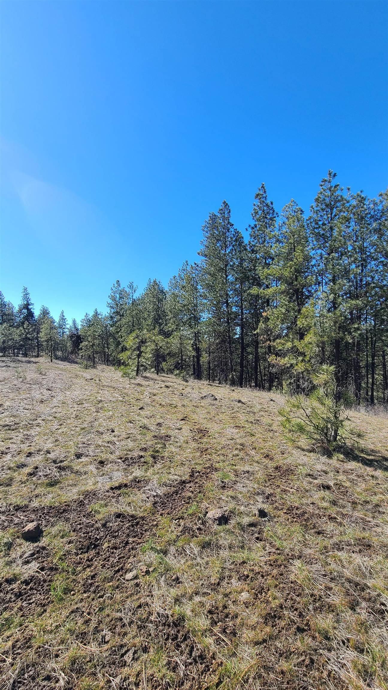 129-xx South Goss Road Cheney, WA 99004 - Photo 31 of 33