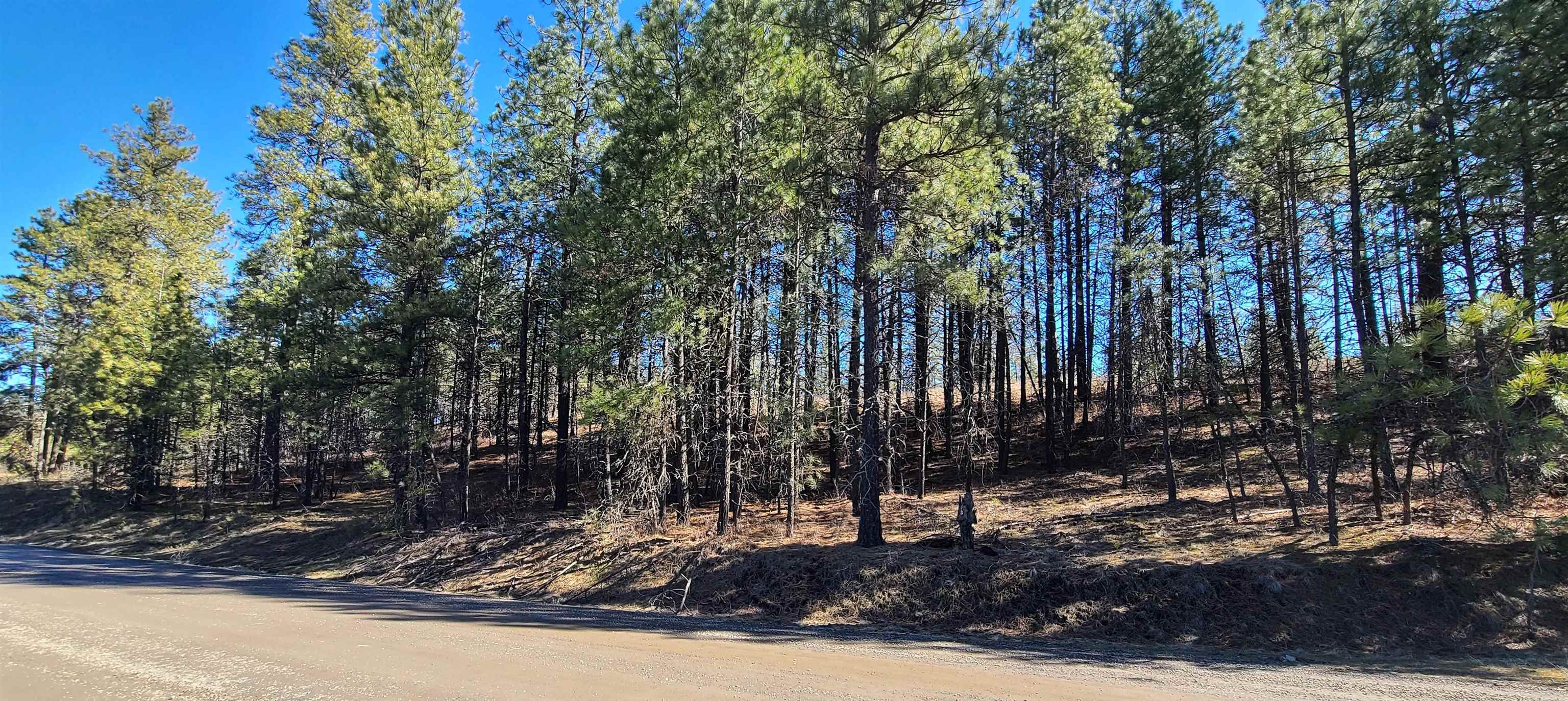 129-xx South Goss Road Cheney, WA 99004 - Photo 32 of 33