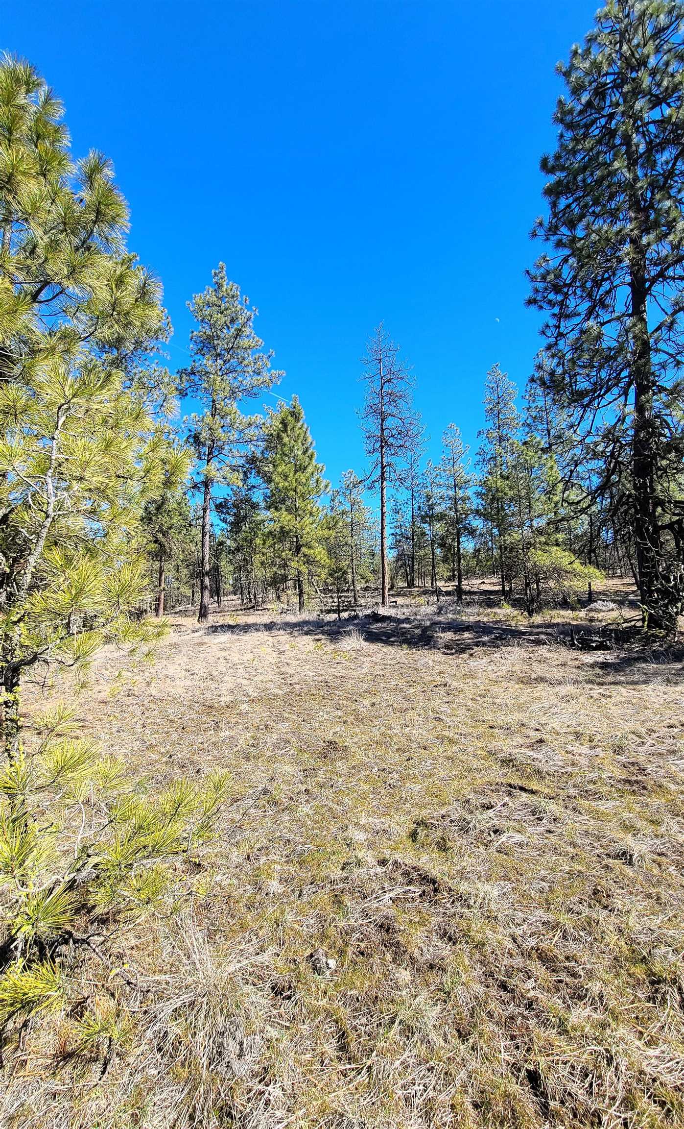 129-xx South Goss Road Cheney, WA 99004 - Photo 33 of 33