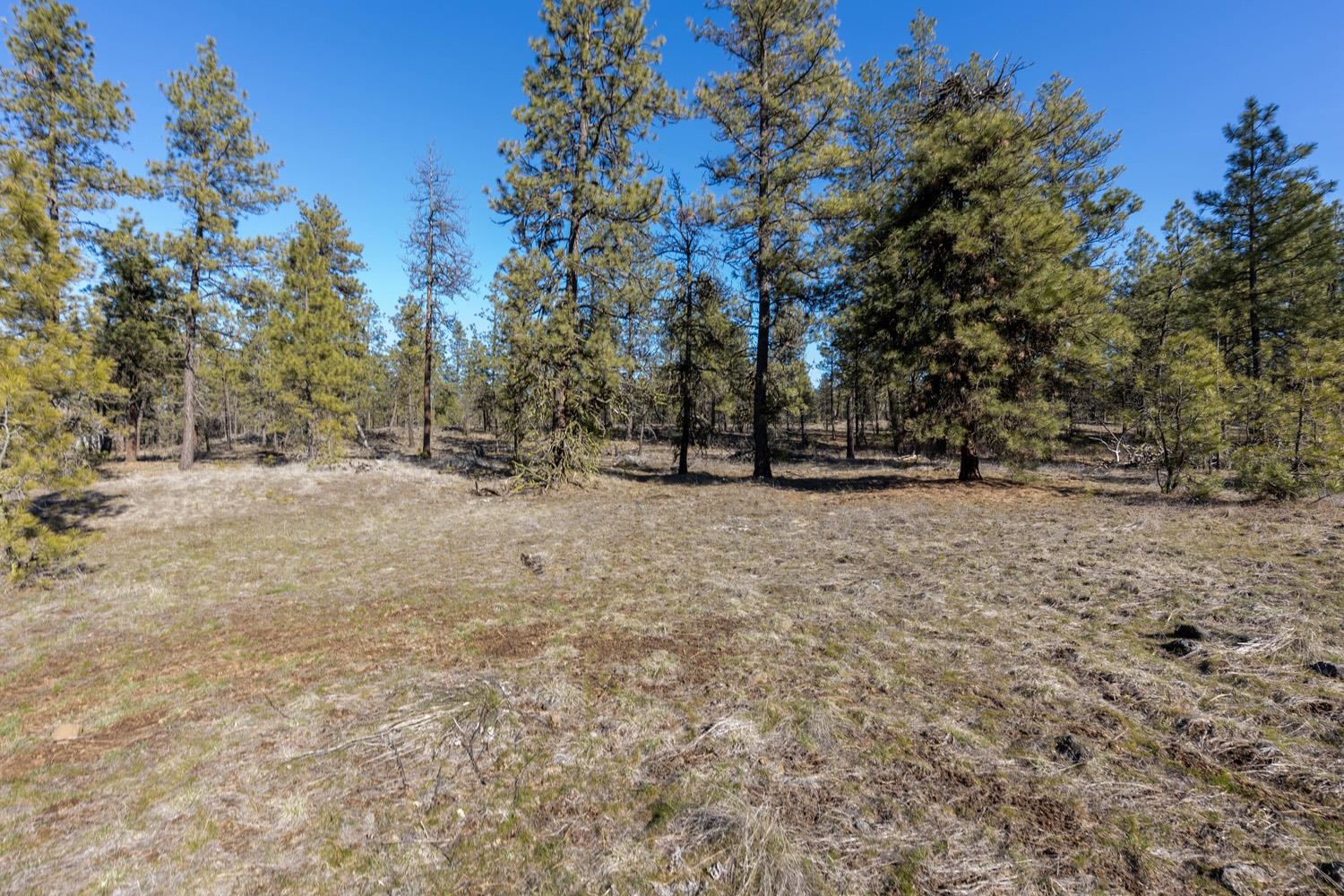 129-xx South Goss Road Cheney, WA 99004 - Photo 4 of 33