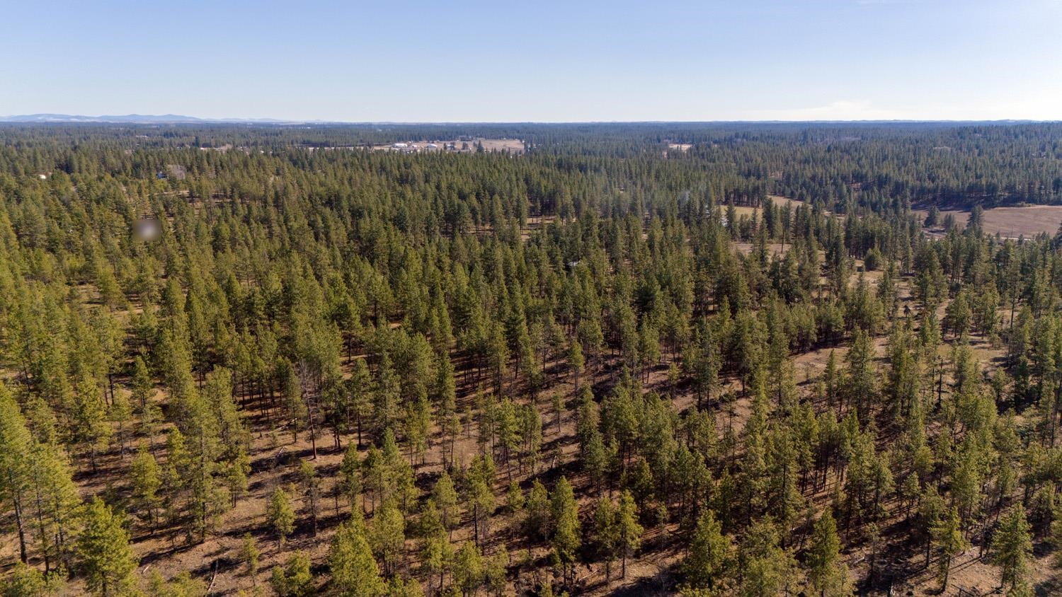 129-xx South Goss Road Cheney, WA 99004 - Photo 7 of 33