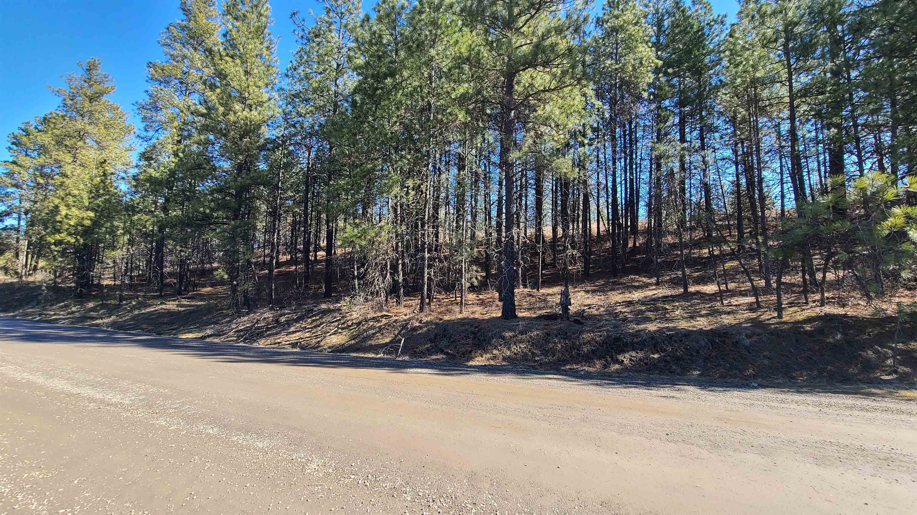 129-xx South Goss Road Cheney, WA 99004 - Photo 9 of 33