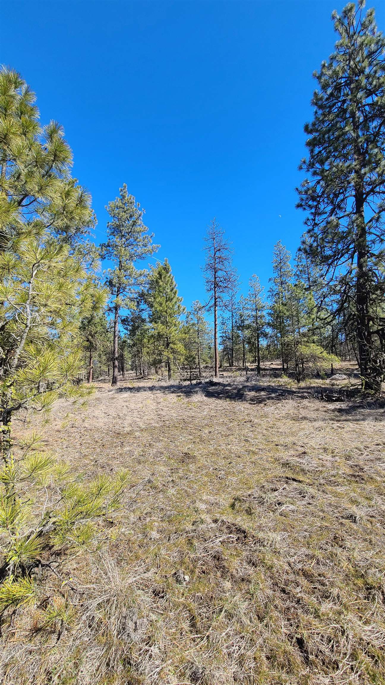 129-xx South Goss Road Cheney, WA 99004 - Photo 10 of 33