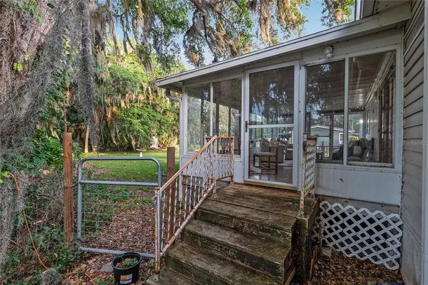 a view of a backyard with large trees