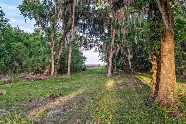 $330,000 | 20361 1st Street, McIntosh, FL 32664