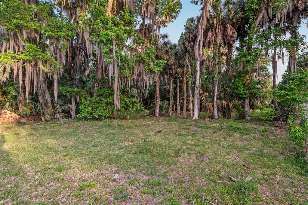 20361 1st Street McIntosh, FL 32664 - Photo 60 of 62