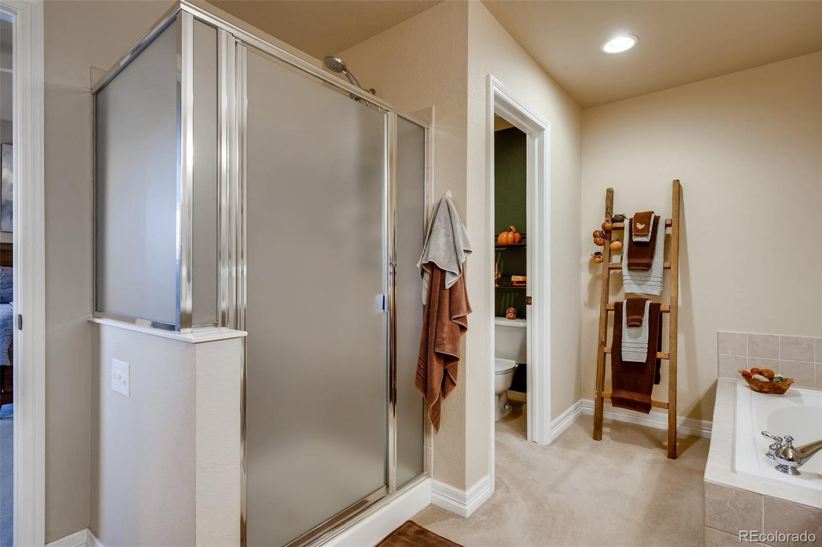 8915 Tappy Toorie Place Highlands Ranch, CO 80129 - Photo 17 of 28 Gallery Image 17