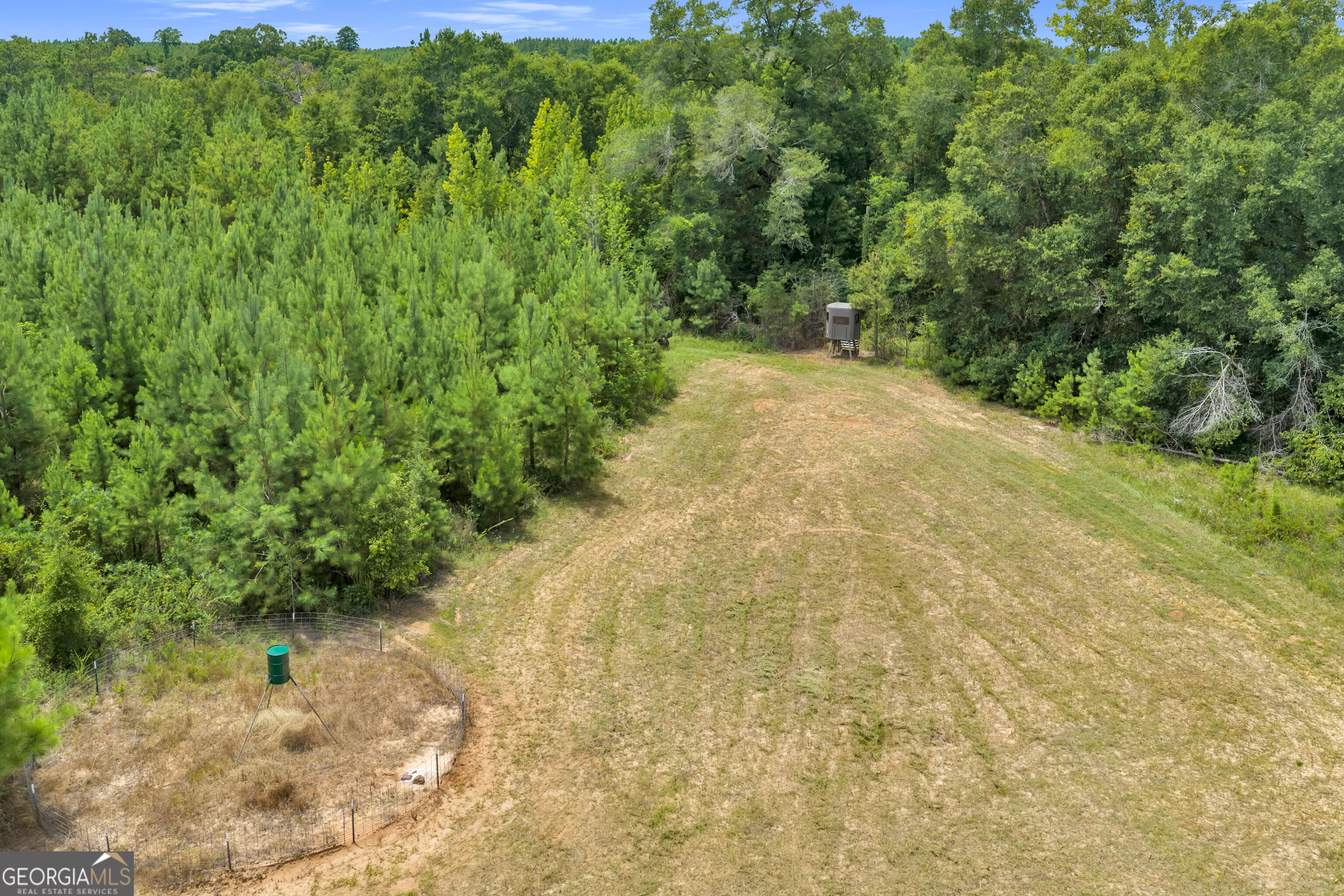 100 Bussey Place Road Morris, GA 39867 - Photo 58 of 174 Gallery Image 58