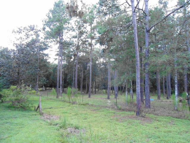 77 Perdue Road DeFuniak Springs, FL 32433 - Photo 32 of 34 Ward land