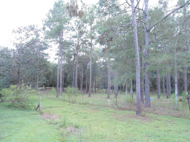 77 Perdue Road DeFuniak Springs, FL 32433 - Photo 34 of 34 DSC03336