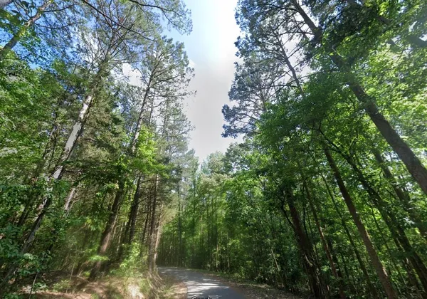 $6,999 | Cedar Grove Loop, Bolivar, TN 38008