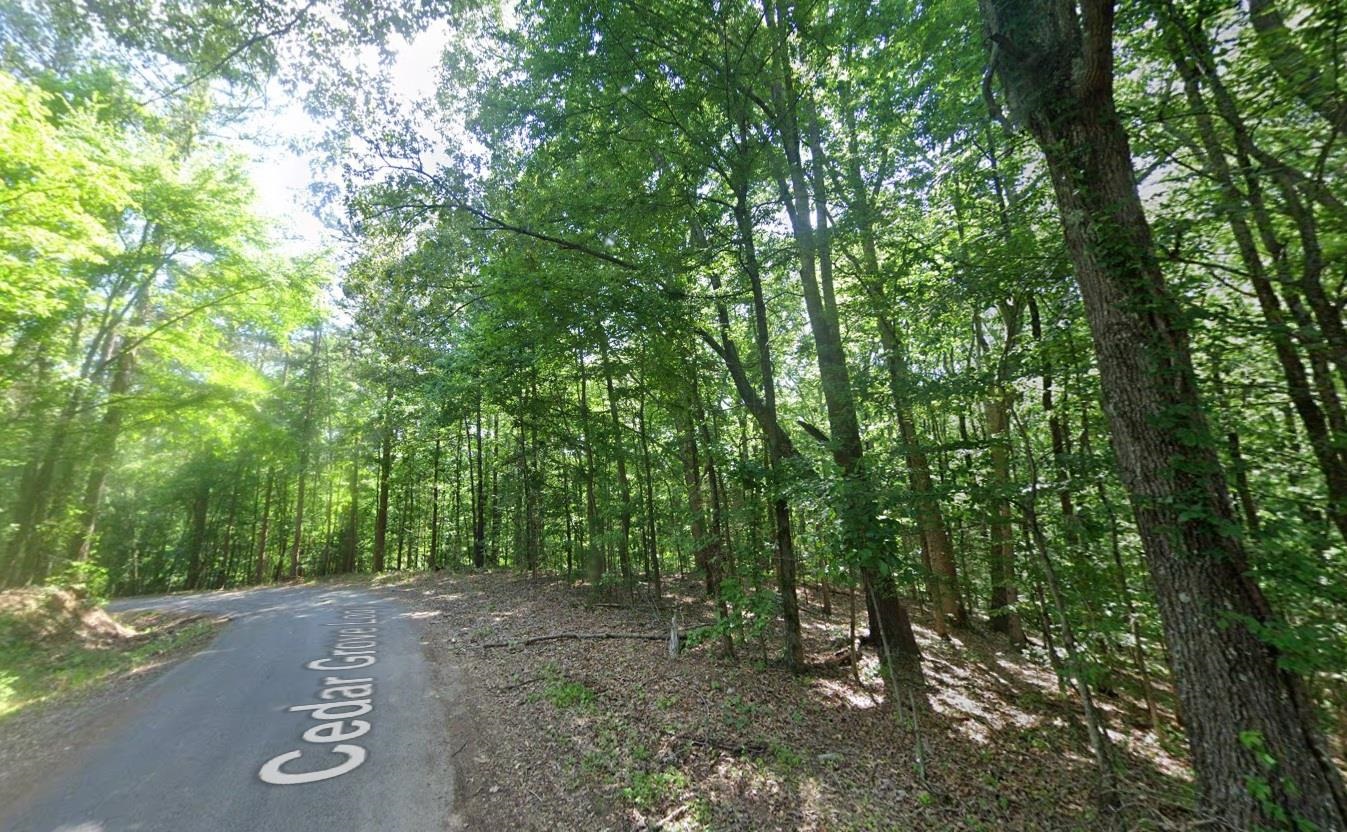 Cedar Grove Loop Bolivar, TN 38008 - Photo 3 of 24