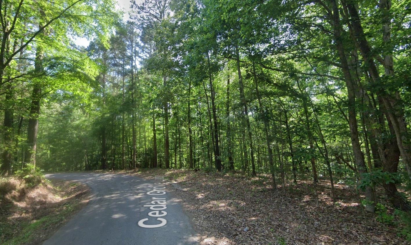 Cedar Grove Loop Bolivar, TN 38008 - Photo 4 of 24