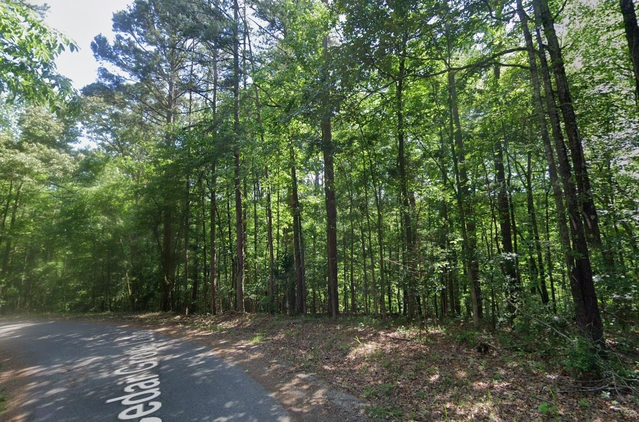 Cedar Grove Loop Bolivar, TN 38008 - Photo 5 of 24