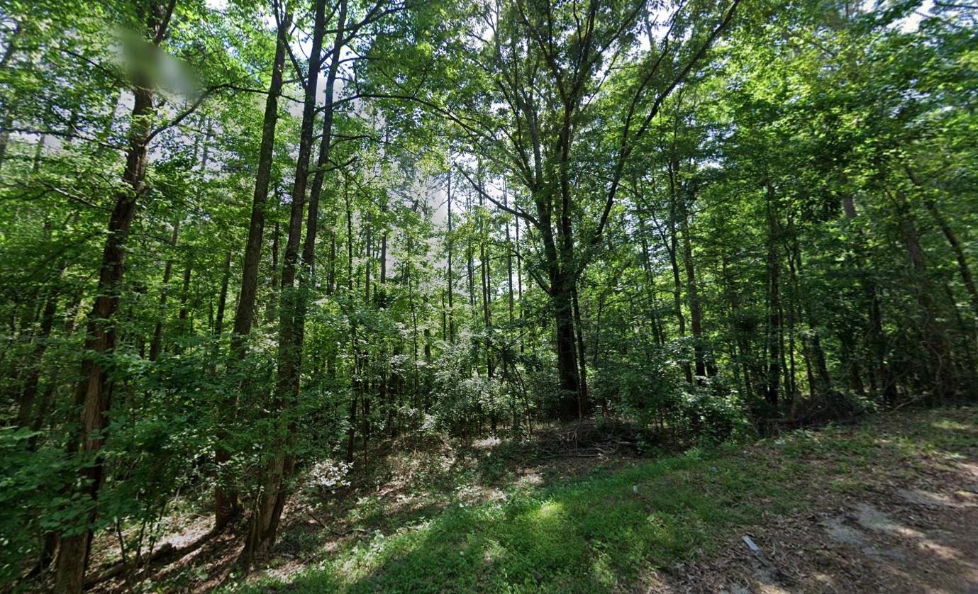 Cedar Grove Loop Bolivar, TN 38008 - Photo 8 of 24