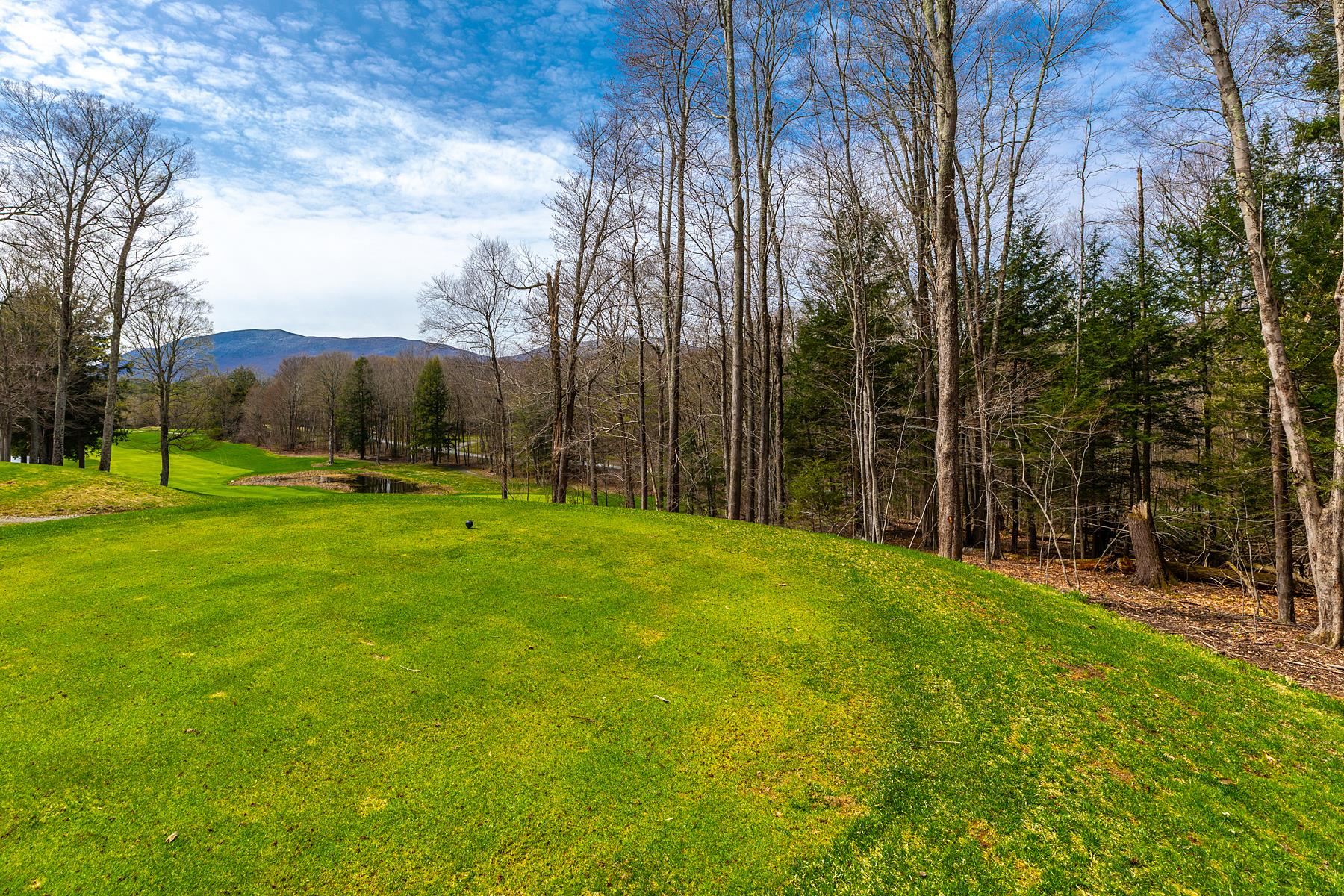 530 Finbars Forest Road Manchester, VT 05255 - Photo 5 of 6