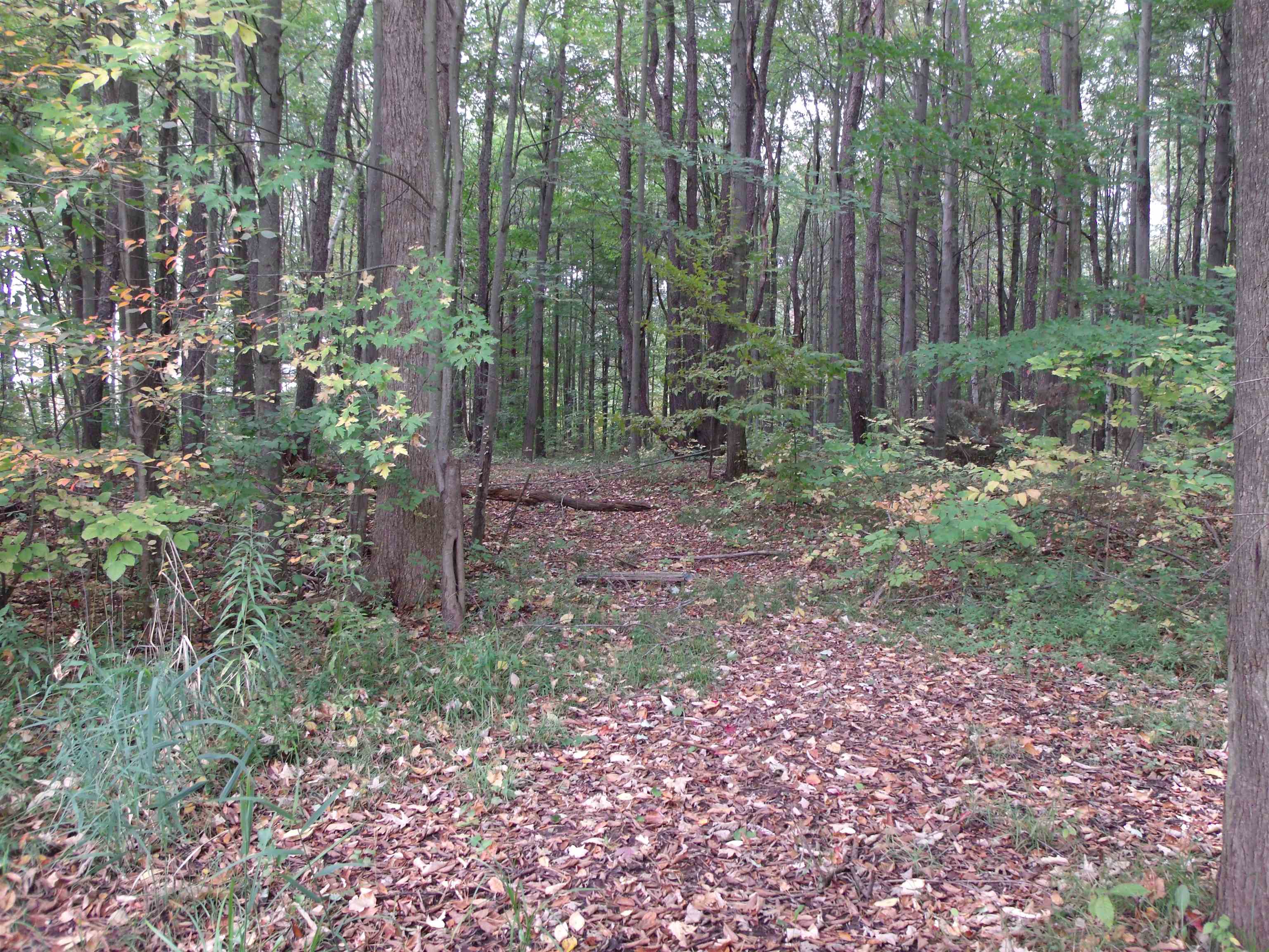 240 Wadhams Road St. Clair, MI 48079 - Photo 69 of 75 50124633-68.JPG