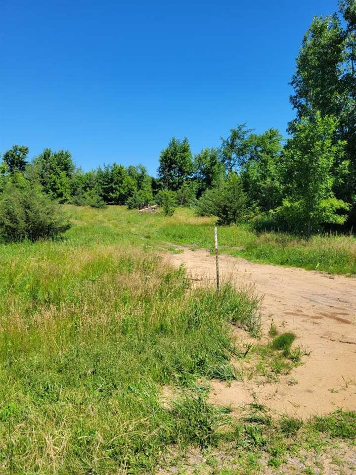 Vl Lakefield Road Merrill, MI 48637 - Photo 3 of 3