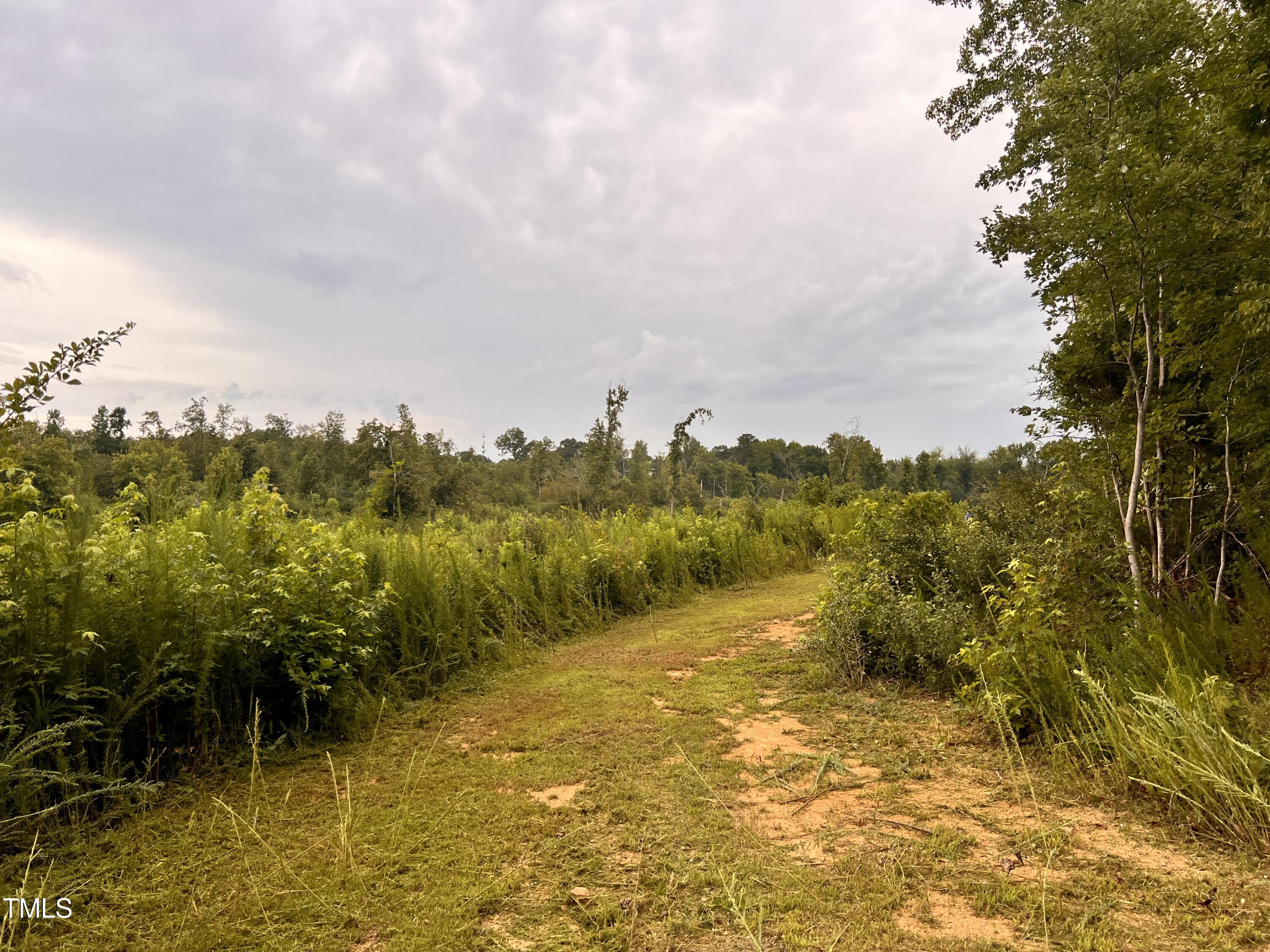 288 Crestview Road Siler City, NC 27344 - Photo 14 of 15 IMG-0546