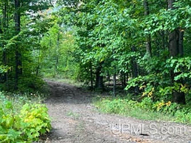 3 Lake Enchantment Road Marquette, MI 49855 - Photo 4 of 11