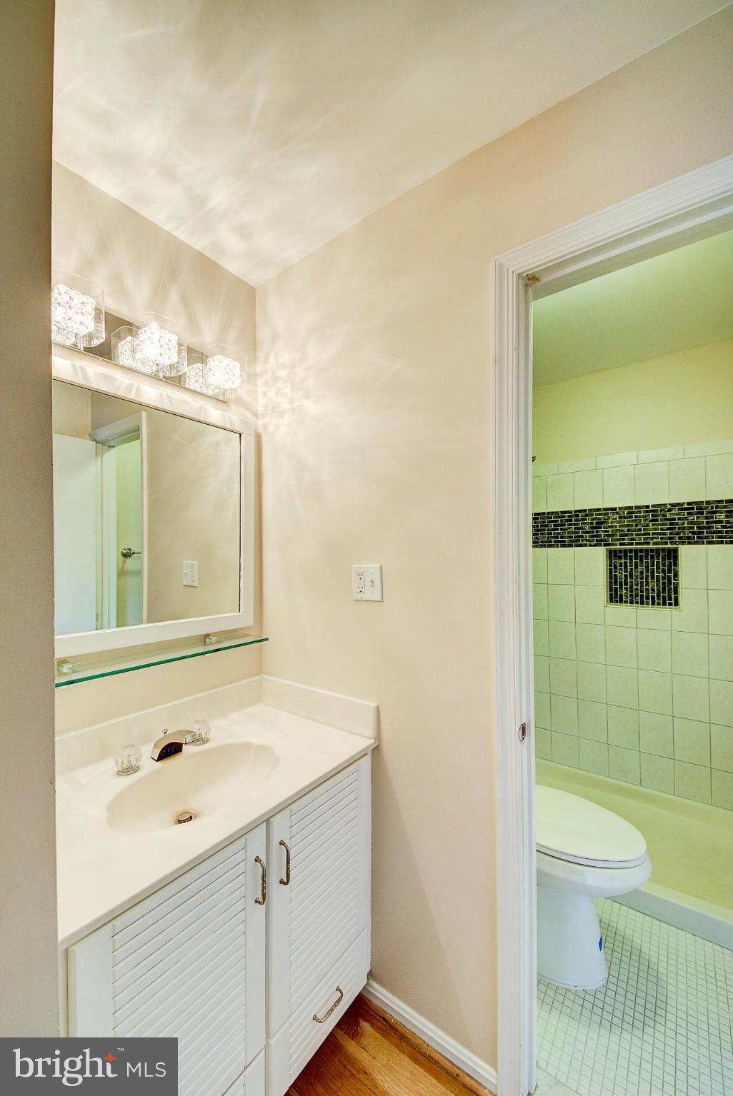 11014 Saffold Way Reston, VA 20190 - Photo 12 of 22 Bath (Master)