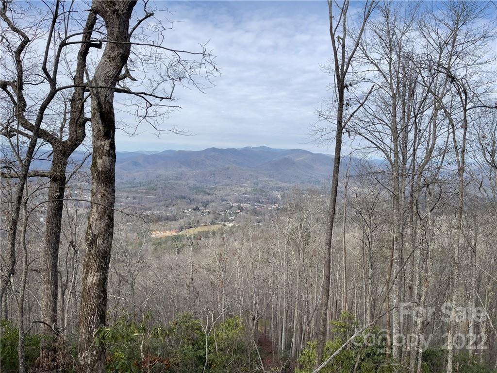 0 Robinson Gap Road, Unit 8 Bryson City, NC 28713 - Photo 13 of 16 a view of a yard with a tree