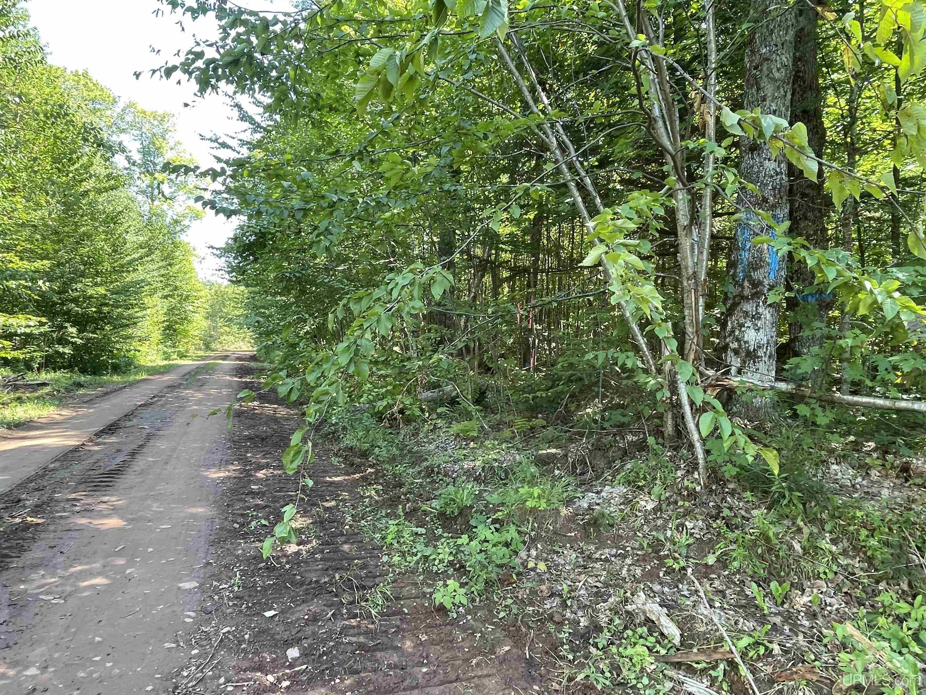 Tbd Tbd Sand Island Road Bessemer, MI 49911 - Photo 3 of 10